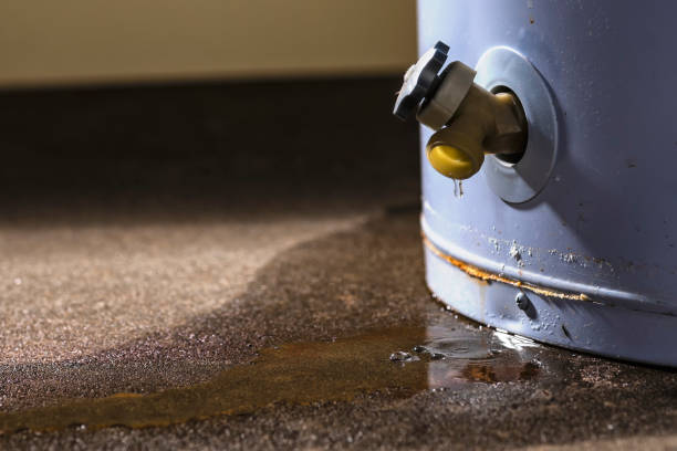 Best Fire Damage Restoration  in Whitewater, WI