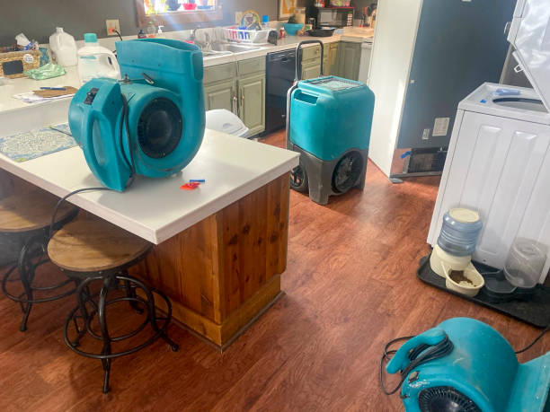 Best Basement water damage restoration  in Whitewater, WI