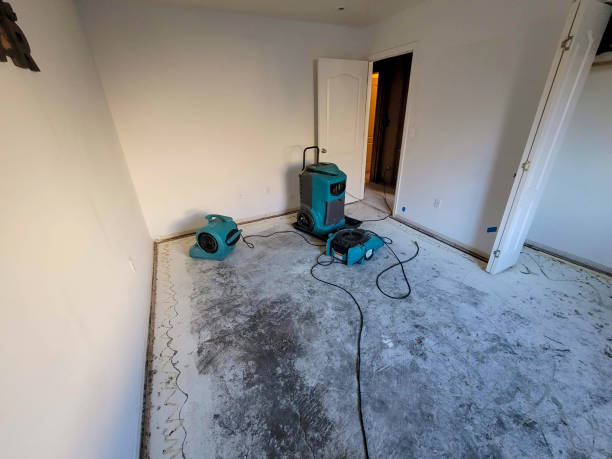 Trusted Whitewater, WI Water damage restoration Experts