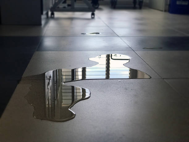 Best Water damage restoration near me  in Whitewater, WI