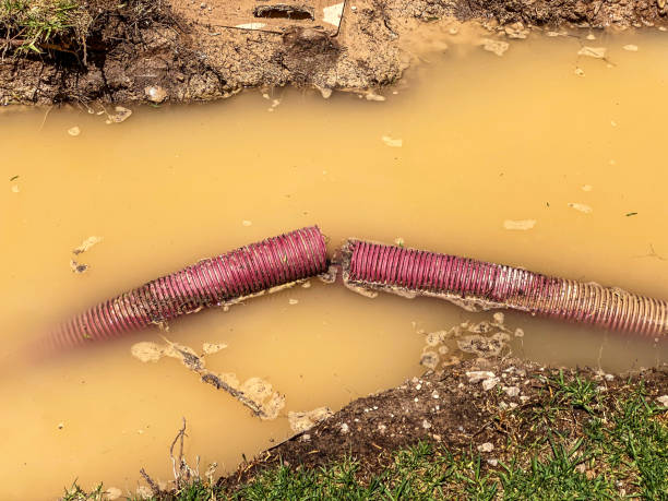 Best Commercial water damage restoration  in Whitewater, WI